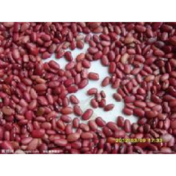 2015 Nouveau récolte Bonne qualité Bean rouge